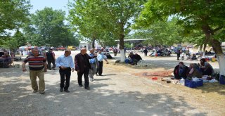 İznik'te Bahar Şenlikleri Zamanı