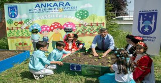 Ankara'da küçük çiftçiler iş başında