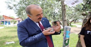 Mudanya'da Sokak Hayvanları İçin 'Mamamatik'