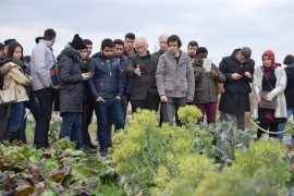 Nilüfer Belediyesi Kent Bostanları’nda organik tarım uygulaması