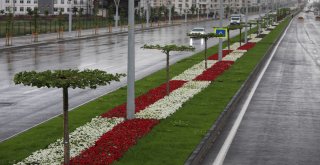 Büyükşehir Belediyesi, final maçı için hazırlıklarını tamamladı