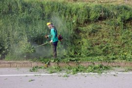 Mudanya'da bahar  temizliği başladı