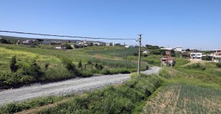 Mesudiye istedi,Mudanya Belediyesi yaptı