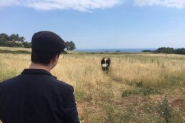 İki Yaka yarım Aşk Rumelisiad Merkezi'nde gösterilecek.