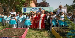 Ankara'da küçük çiftçiler iş başında