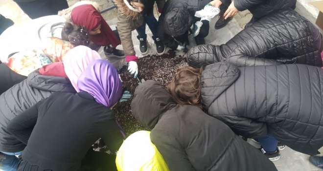 Bursa'da gençler toprakla buluştu