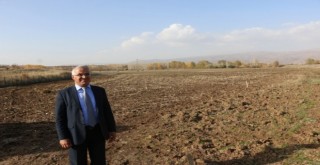 Bingöl Belediyesi ,30 dönüm araziyi  seraya dönüştürdü.