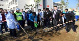 Osmangazi’den Öğretmenler İçin Fidan