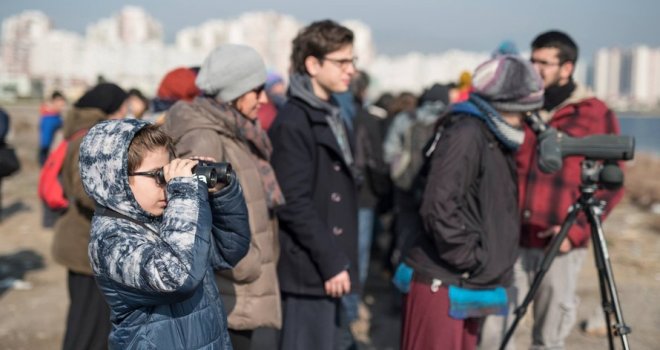 Karacabey’de pelikan sayımı başlıyor